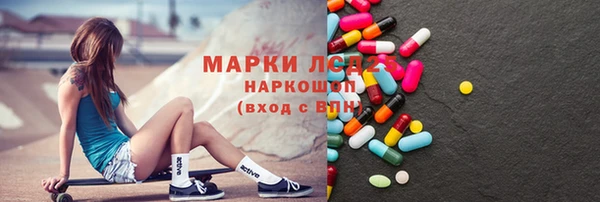 хмурый Алексин