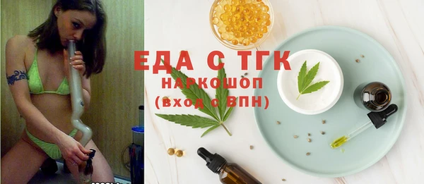 хмурый Алексин