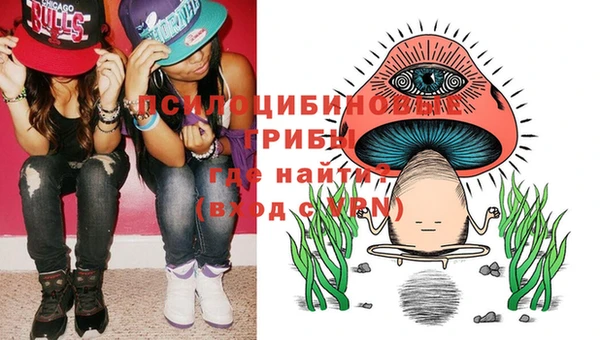 прущий лед Арсеньев