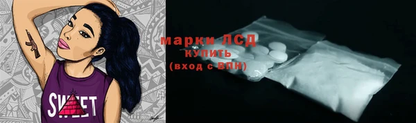 хмурый Алексин