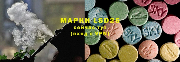 прущие грибы Аркадак