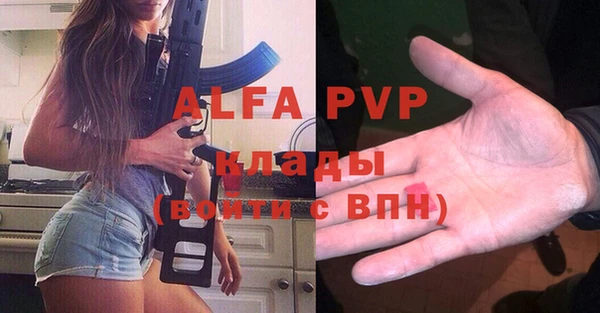 хмурый Алексин